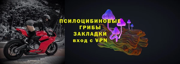 спайс Ельня