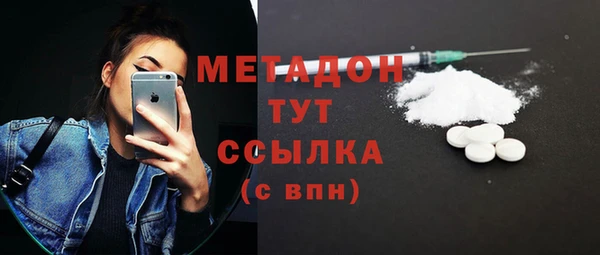 шишки Белокуриха