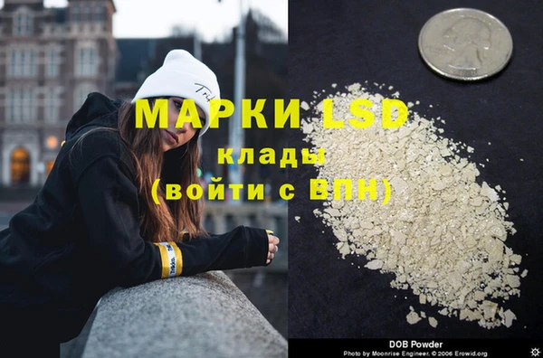мдпв Богданович