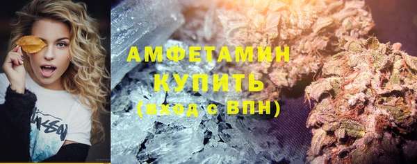 мдпв Богданович
