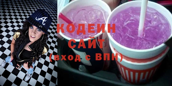 гидра Елабуга