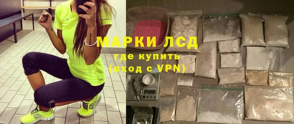 spice Богородск