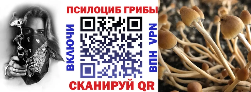 Псилоцибиновые грибы Magic Shrooms  маркетплейс телеграм  Обь 